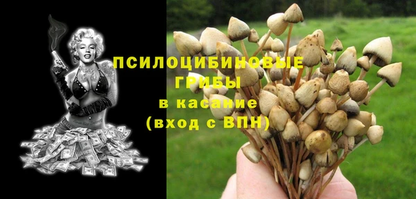 2c-b Заволжье