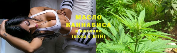 крисы Заводоуковск