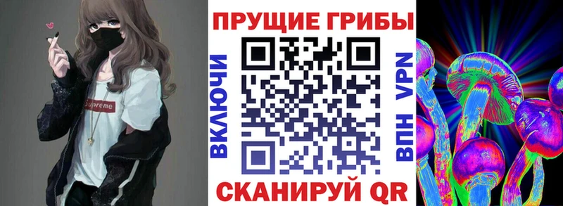 Купить  Данилов  Псилоцибиновые грибы мухоморы 